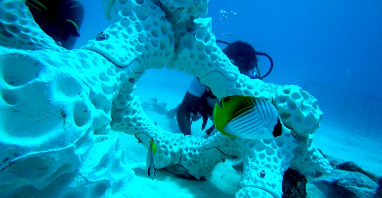 Reciben en la UNAM patente para Pieza Modular para la Construcción de Arrecifes Artificiales