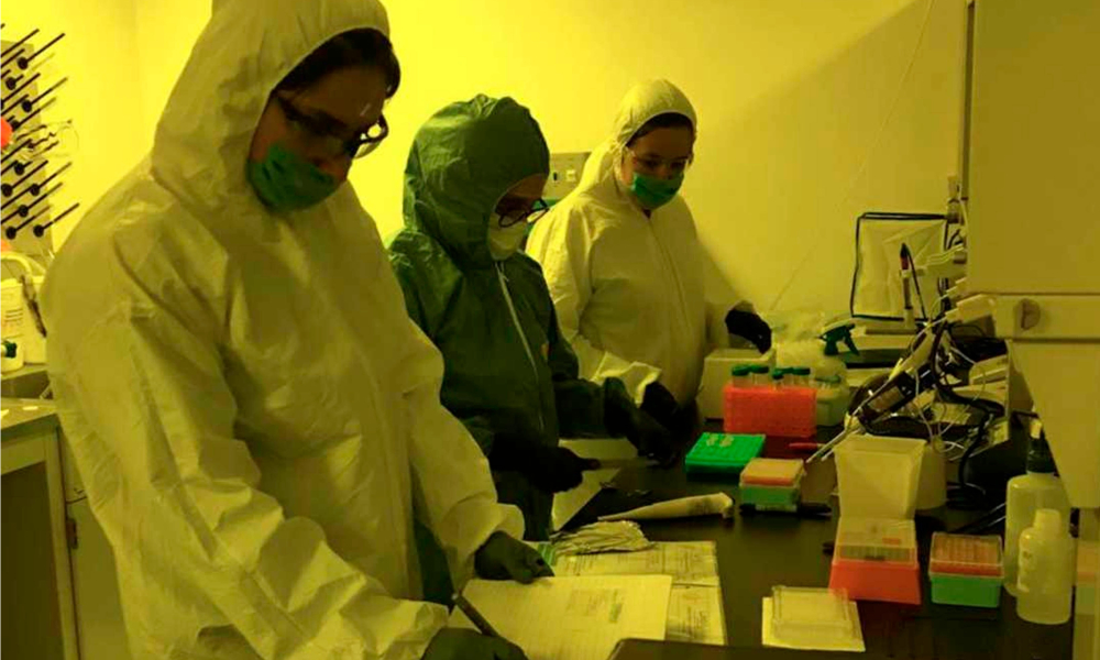 Desarrollan en la UNAM biosensor para detección rápida de COVID-19