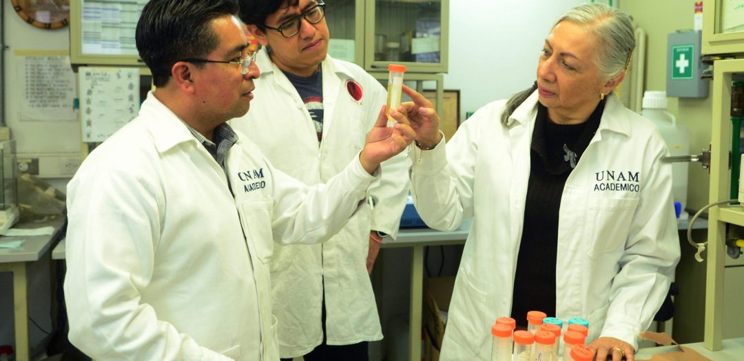 Avanza en la UNAM fármaco contra la enfermedad de Chagas
